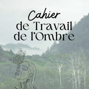 Cahier de travail de l'ombre