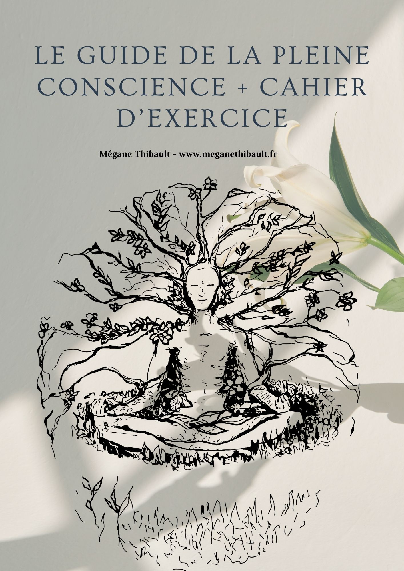 Guide de la pleine conscience